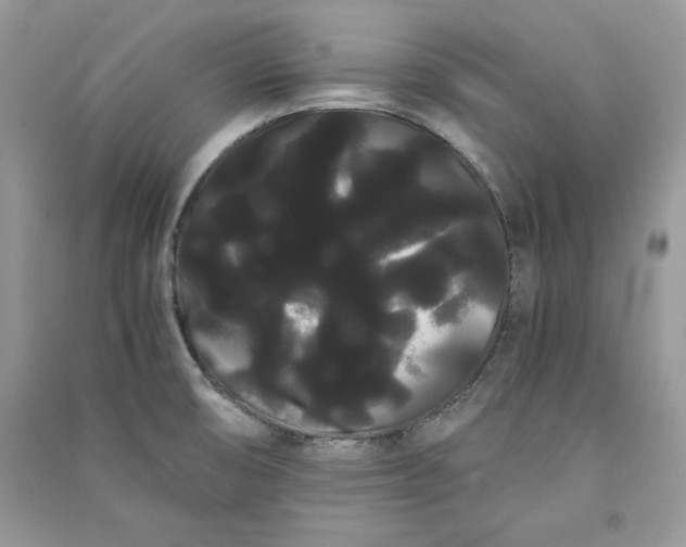 X0000090861474200708101209