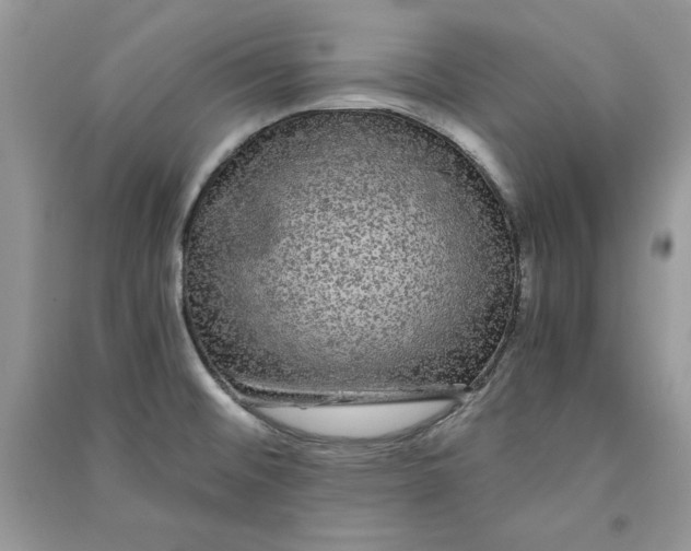 X0000090861476200708101209