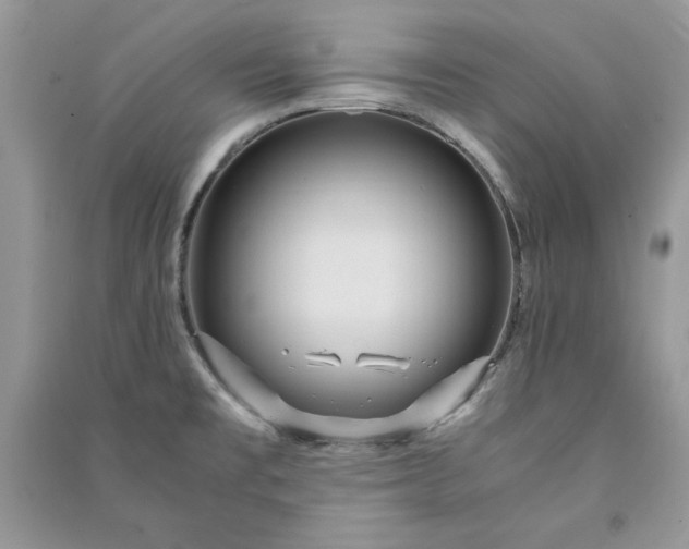 X0000090861477200708101209