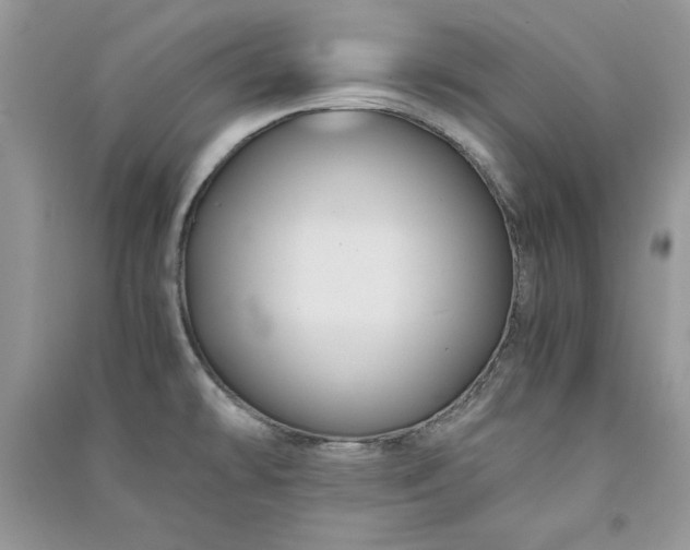 X0000090861478200708101209