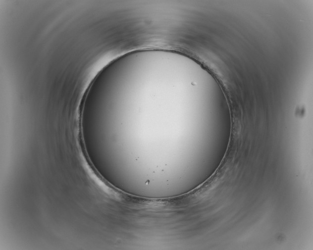 X0000090861479200708101209