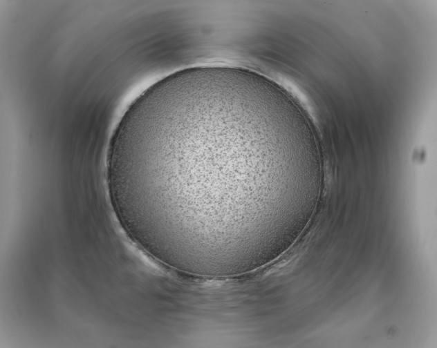 X0000090861480200708101209