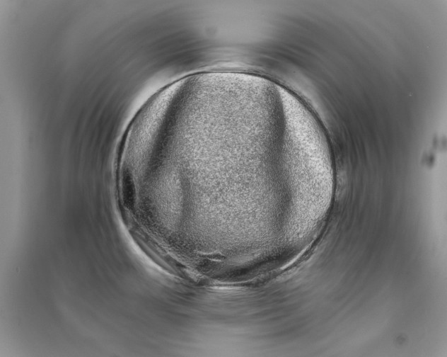 X0000090861483200708101209