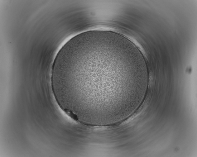 X0000090861484200708101209