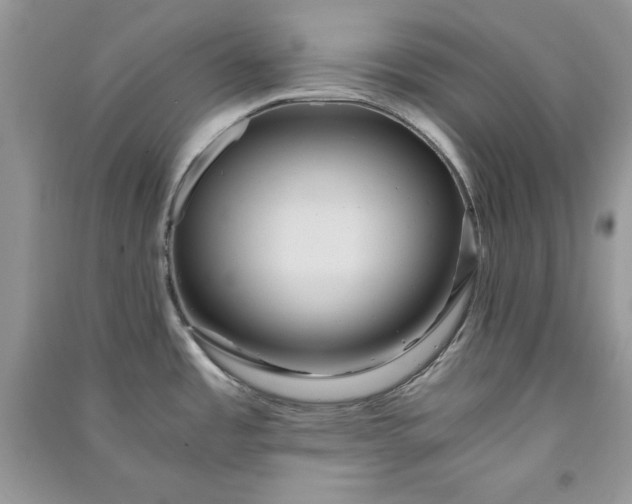 X0000090861485200708101209