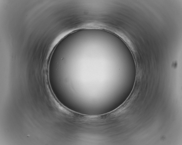 X0000090861486200708101209