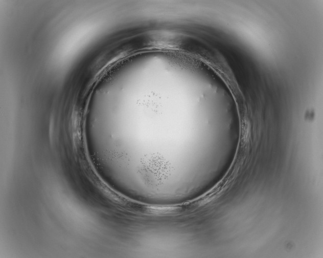 X0000090861487200708101209