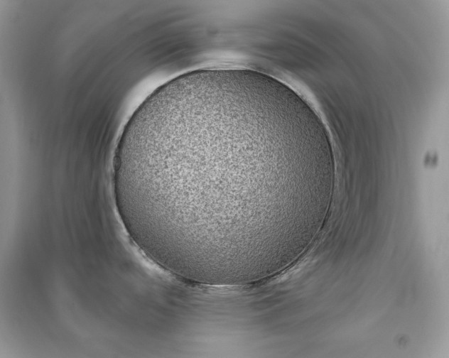 X0000090861488200708101209