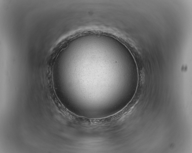 X0000090861494200708101208