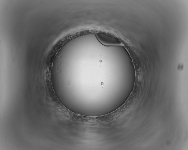 X0000090861495200708101208