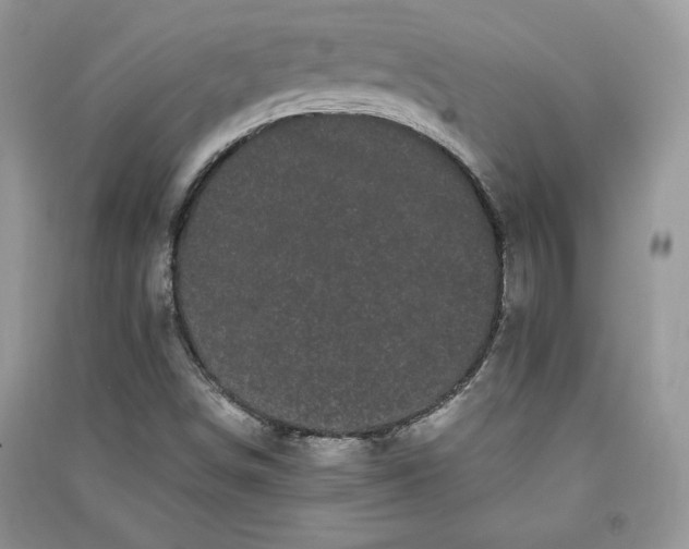 X0000090861498200708101208