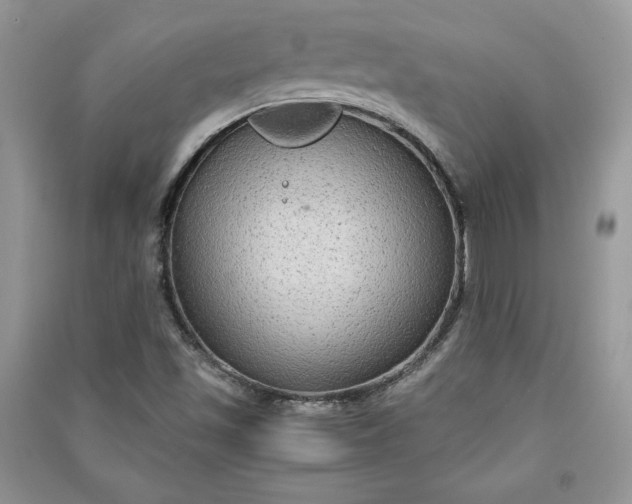 X0000090861501200708101209