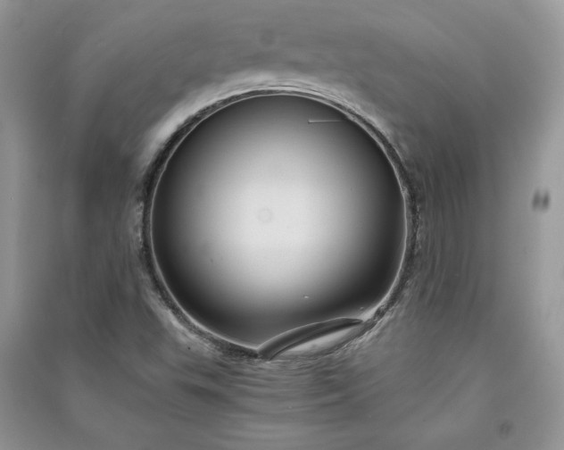 X0000090861503200708101209