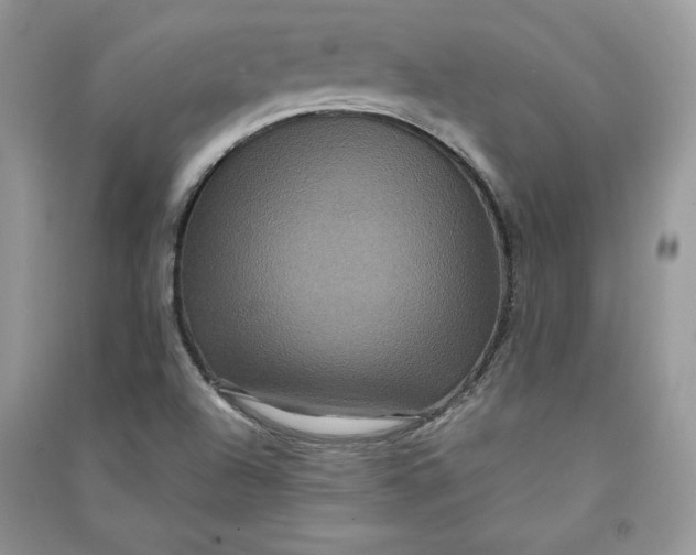 X0000090861504200708101209