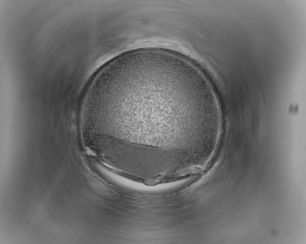 X0000090861505200708101209