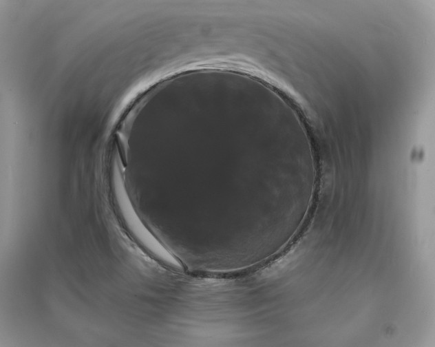 X0000090861506200708101209