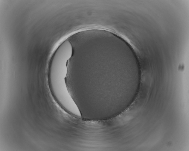 X0000090861508200708101209