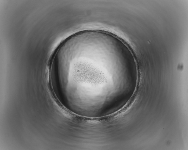 X0000090861509200708101209