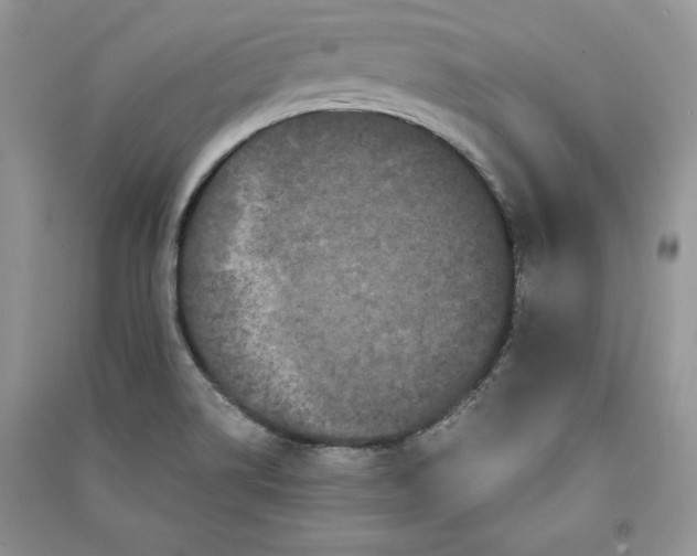 X0000090861514200708101209