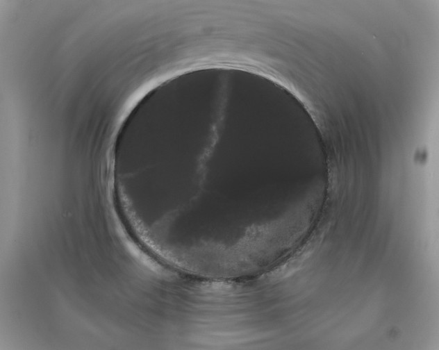 X0000090861515200708101209