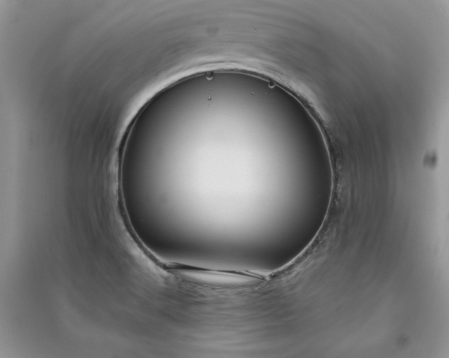 X0000090861516200708101209