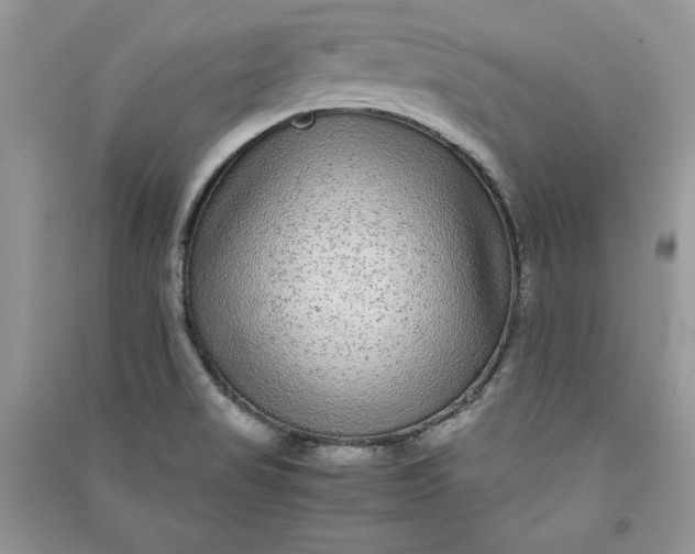 X0000090861517200708101209