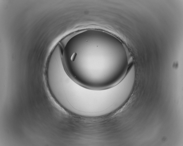 X0000090861518200708101209