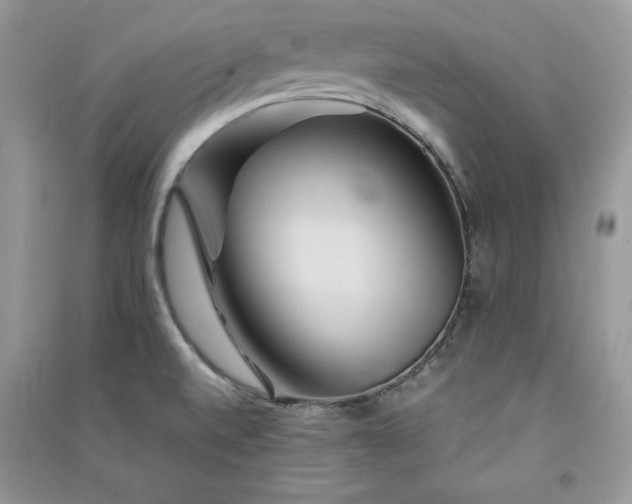 X0000090861520200708101209