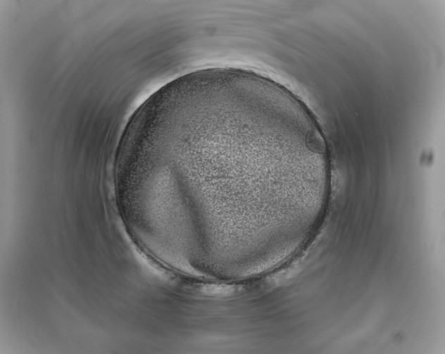 X0000090861521200708101209