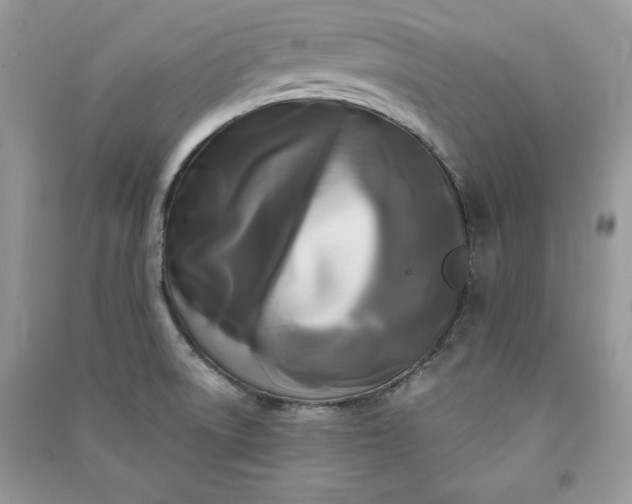 X0000090861522200708101209