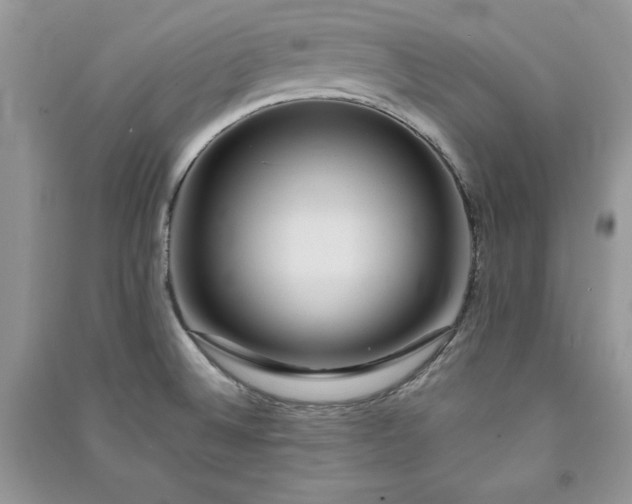 X0000090861524200708101209