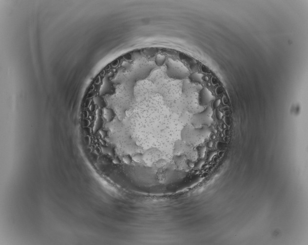 X0000090861525200708101209