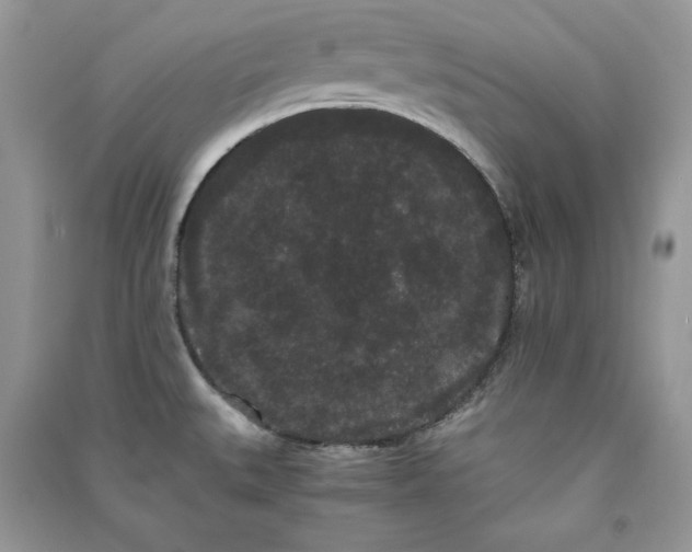 X0000090861527200708101209