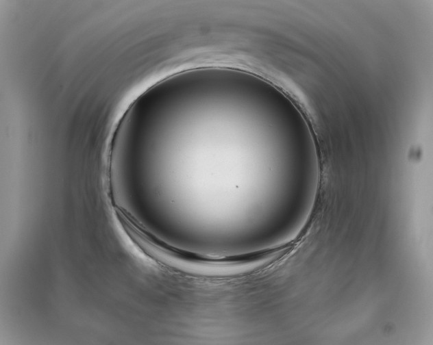 X0000090861528200708101209