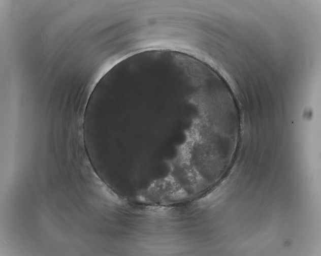 X0000090861529200708101209