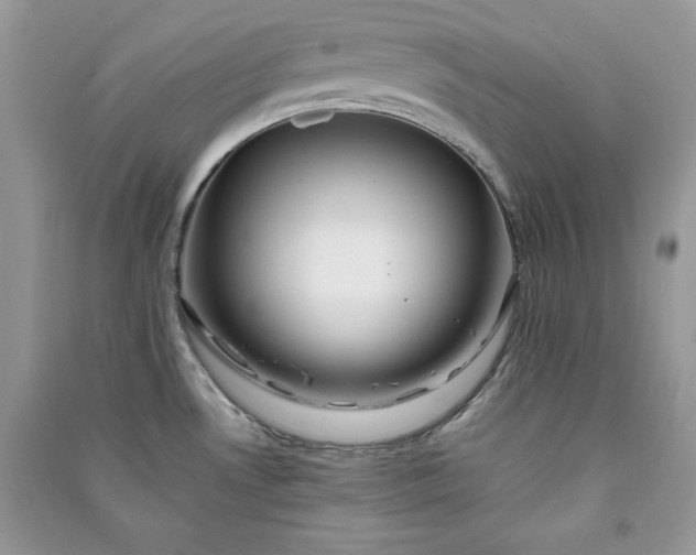 X0000090861530200708101209