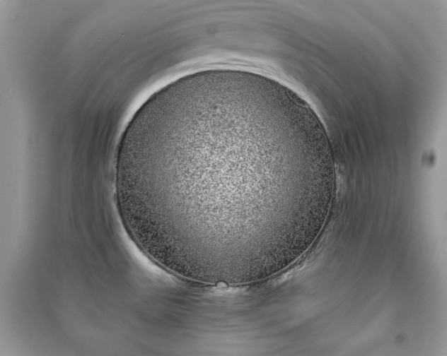 X0000090861531200708101209