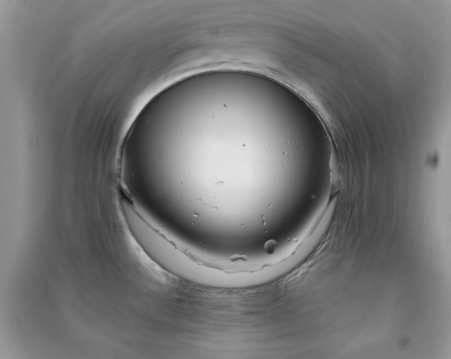 X0000090861532200708101209