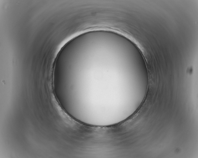 X0000090861534200708101209