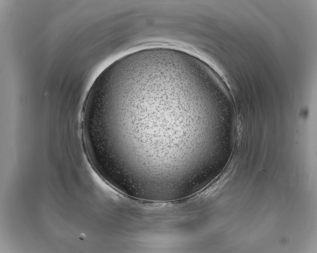 X0000090861535200708101209