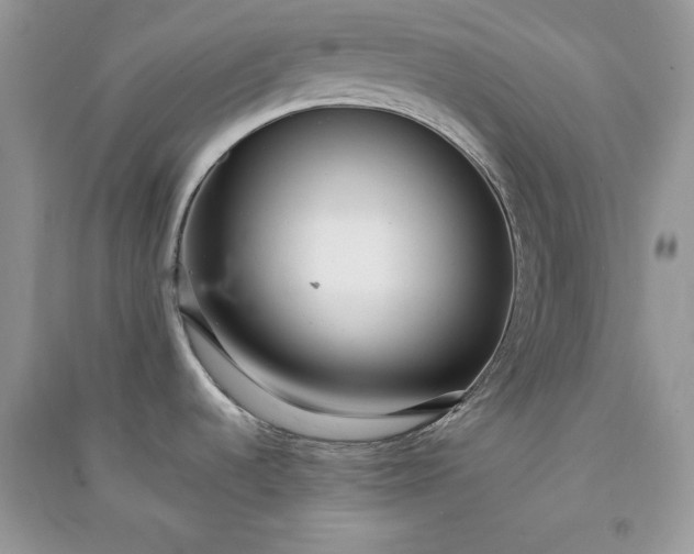 X0000090861536200708101209