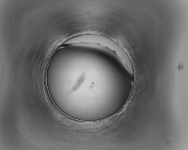 X0000090860001200708171614