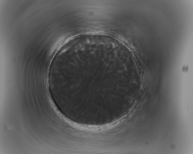 X0000090860002200708171614