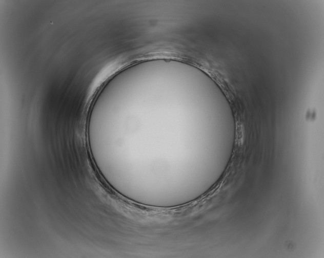 X0000090860004200708171614