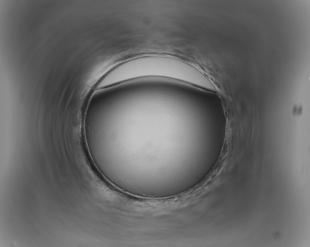 X0000090860005200708171614