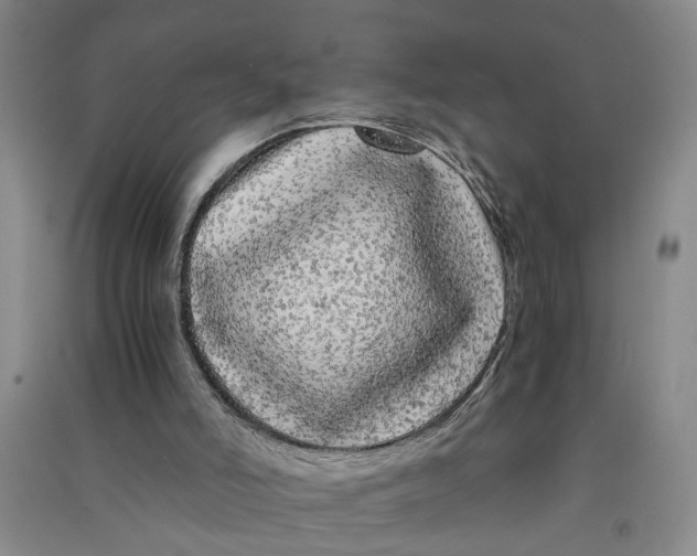 X0000090860006200708171614