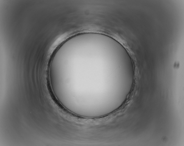 X0000090860007200708171614