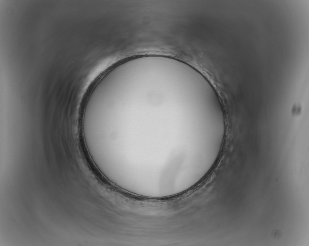 X0000090860008200708171614