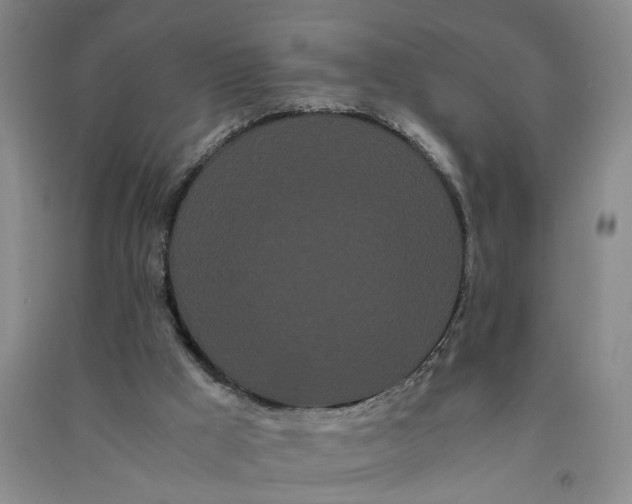 X0000090860009200708171614
