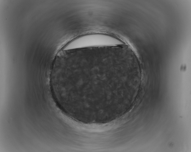 X0000090860010200708171614